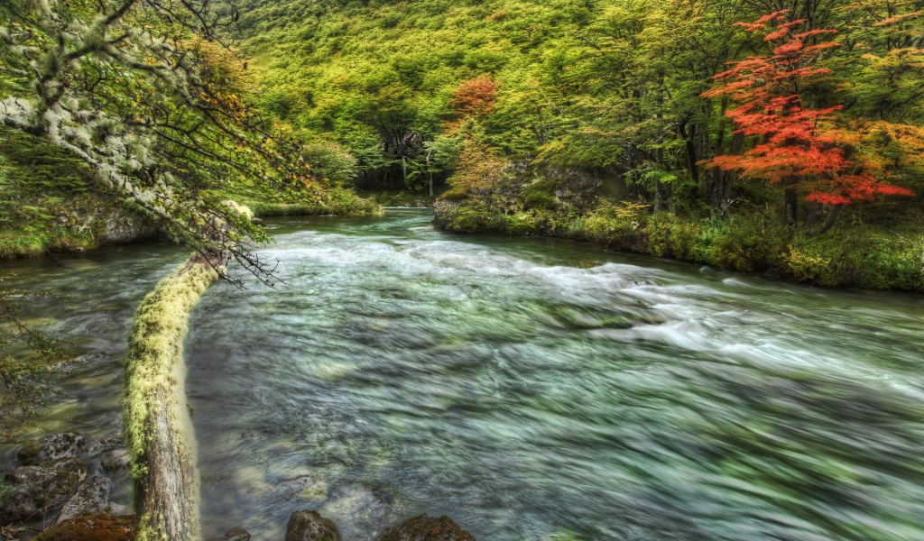 Быстрая горная речка