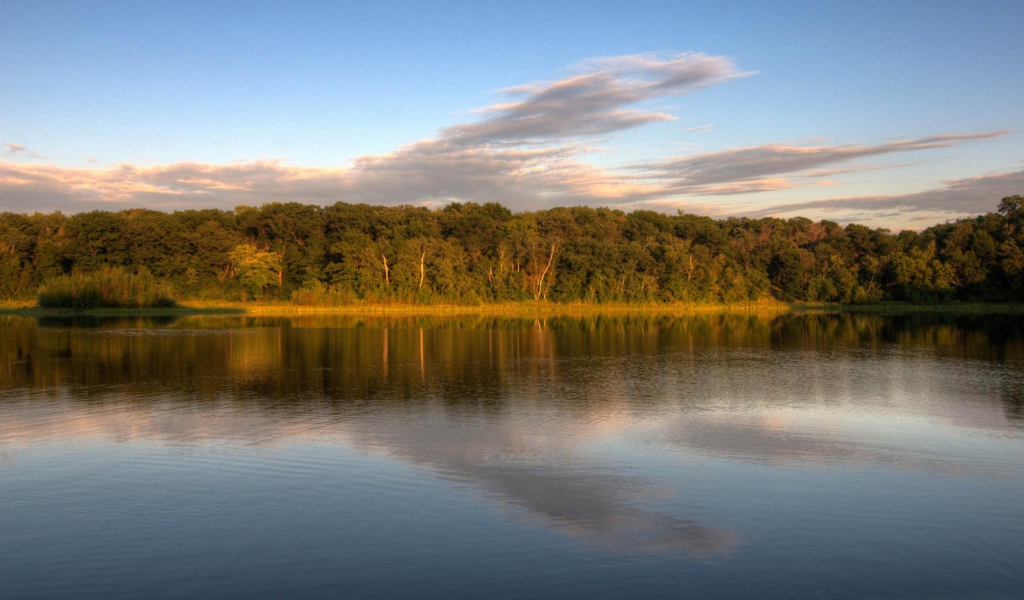 Озеро у леса