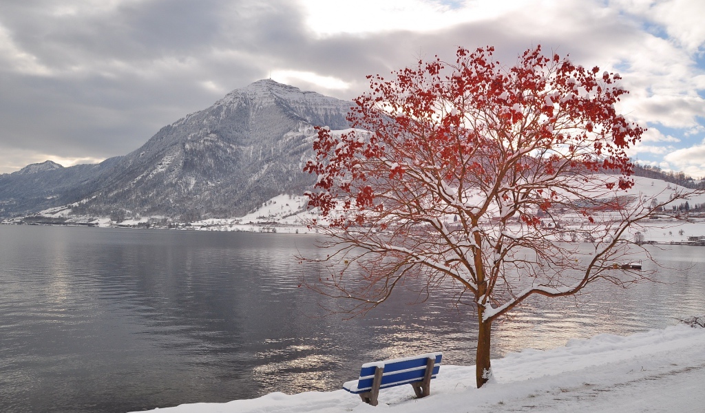 Рябина у озера