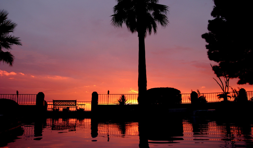 Закат и пальмы