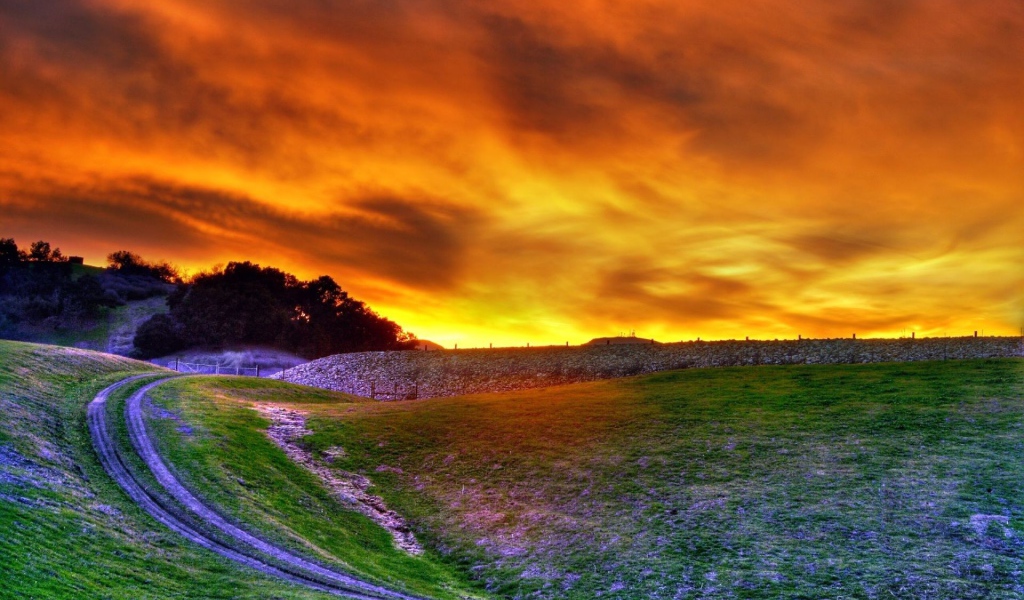 Поле на закате