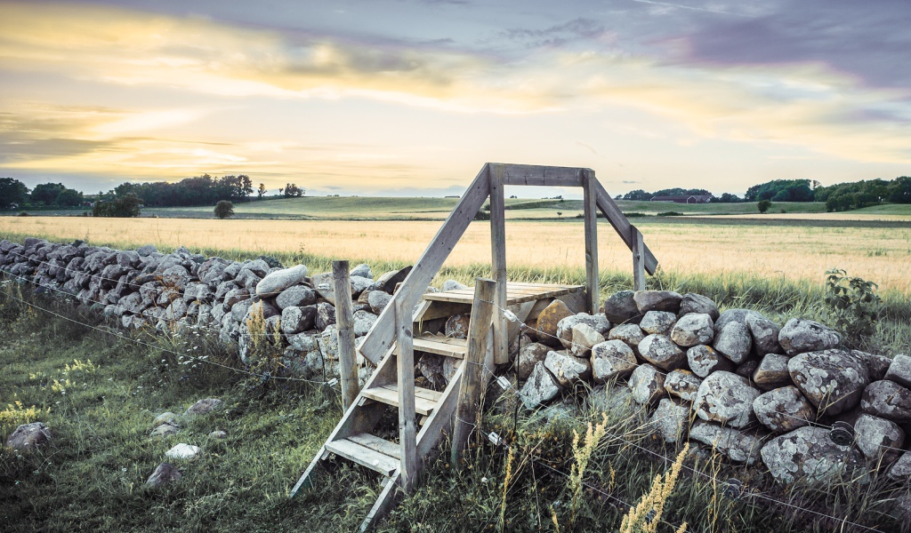 Лестница в поле