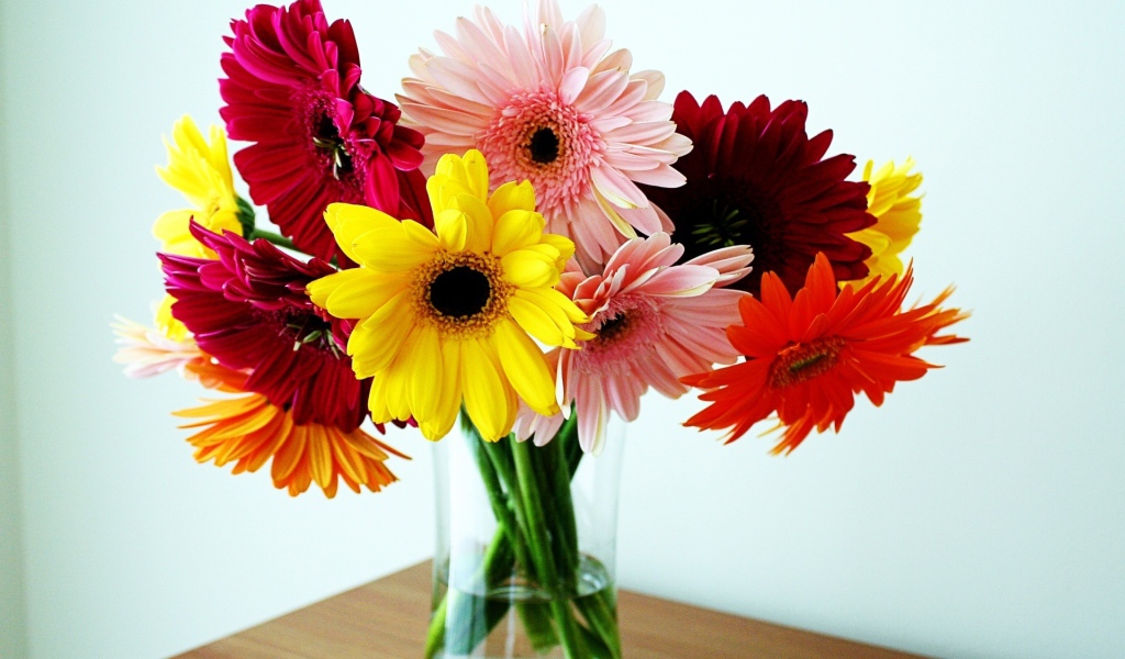 Герберы в вазе