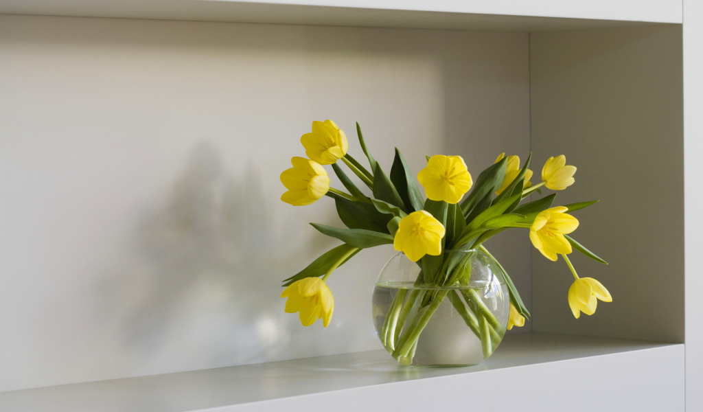 Желтые тюльпаны