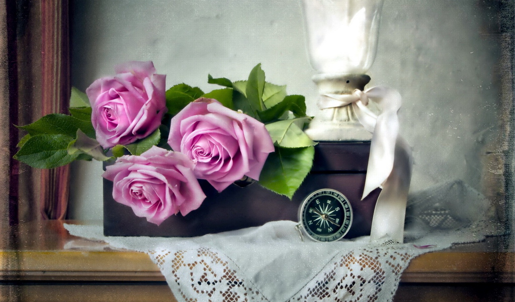 Лиловые розы