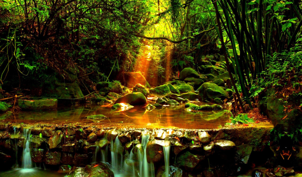 Лесной ручей