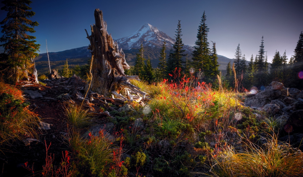 Гора на горизонте