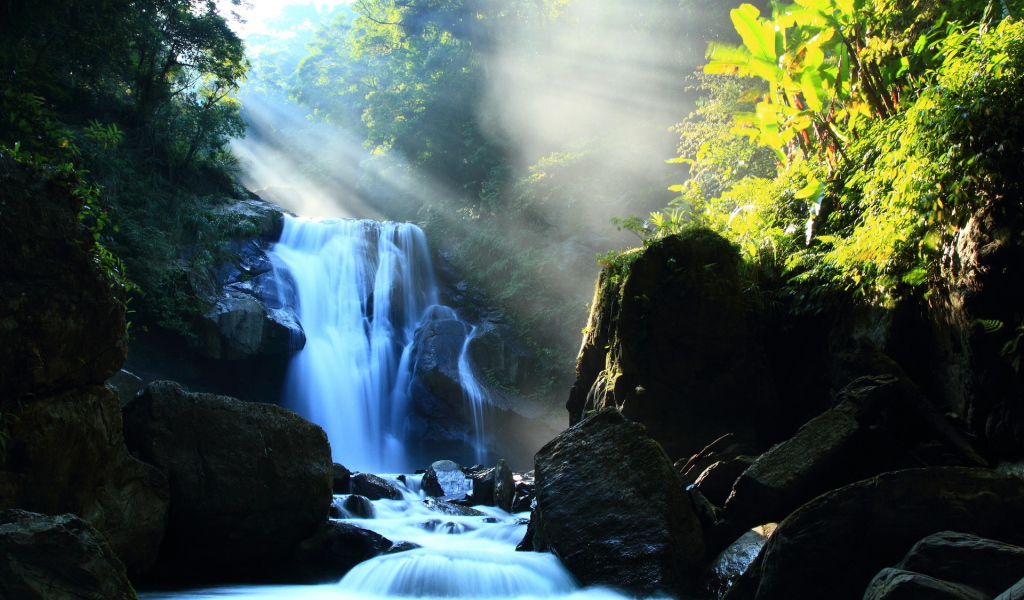 Речка в лесу