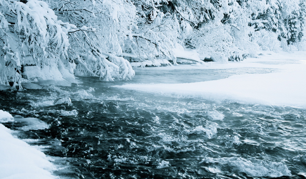 Зимняя река