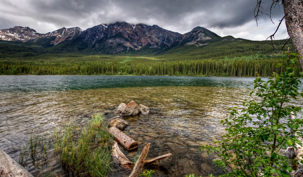 Каменистая река