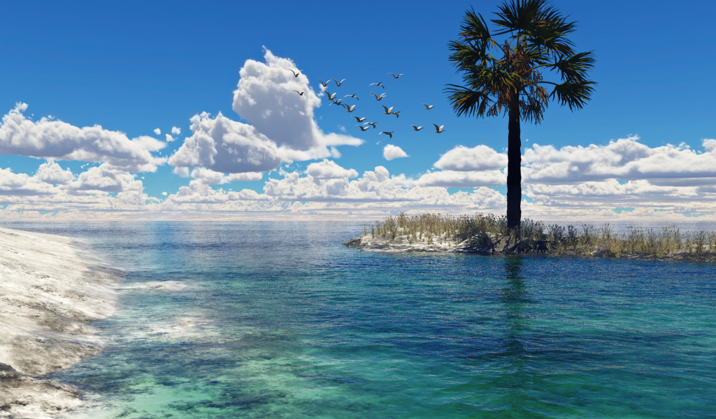 Чайки над морем