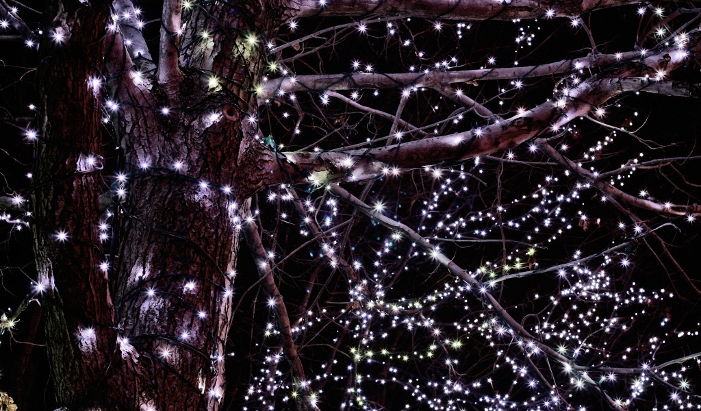 Гирлянды на дереве