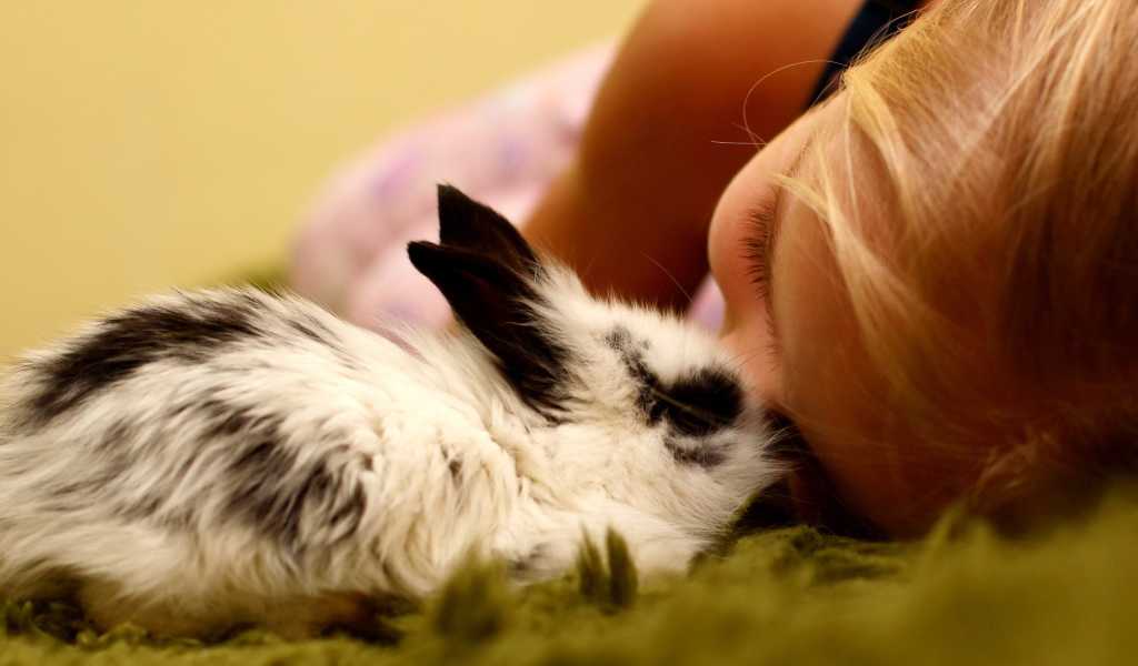 Девочка и кролик