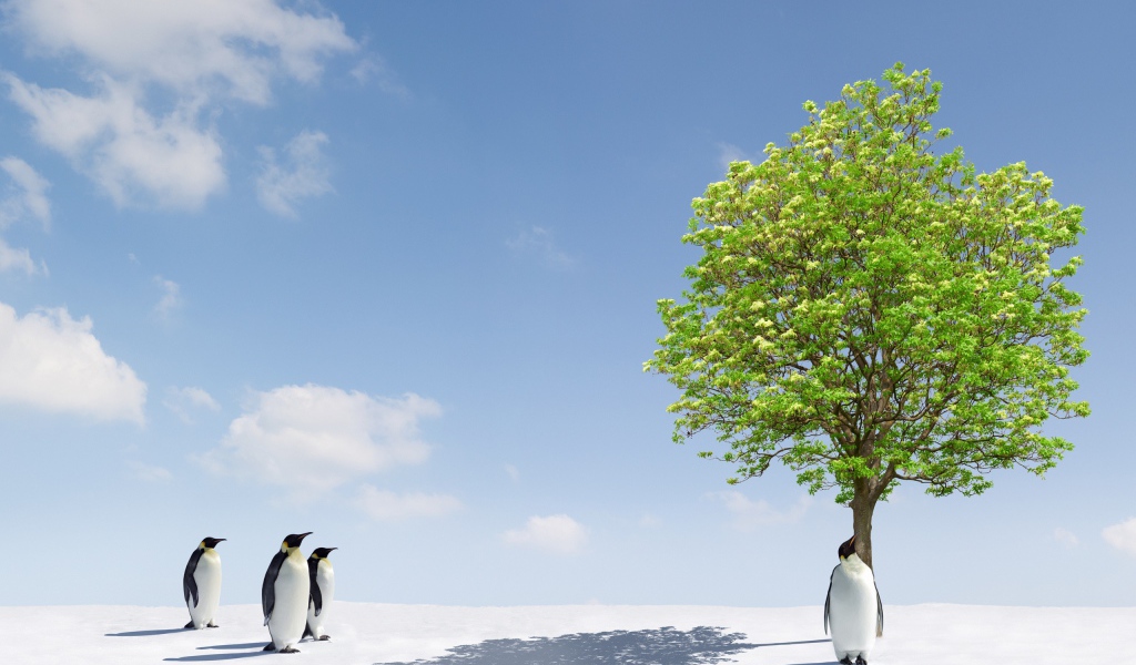 Пингвины и дерево