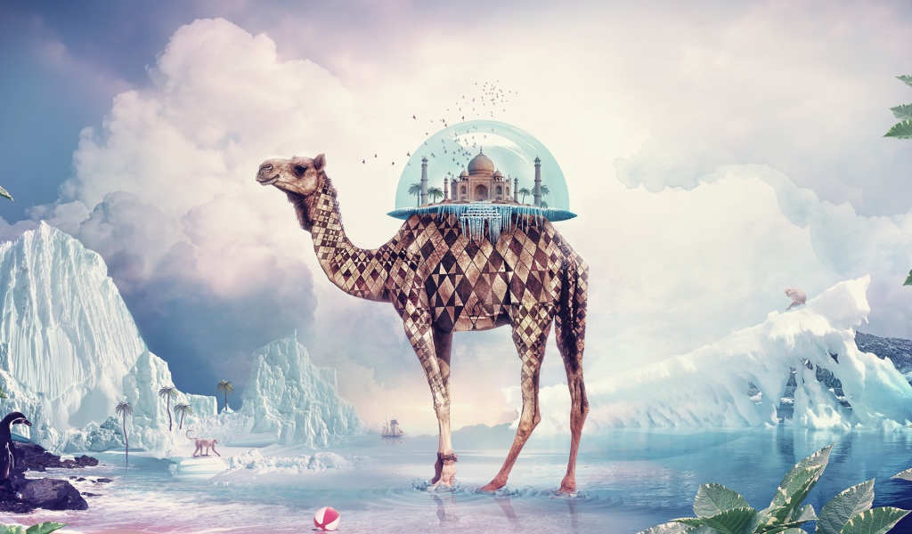 Необычный верблюд