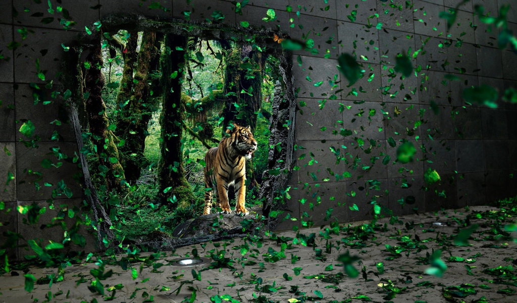 Тигр за стеной