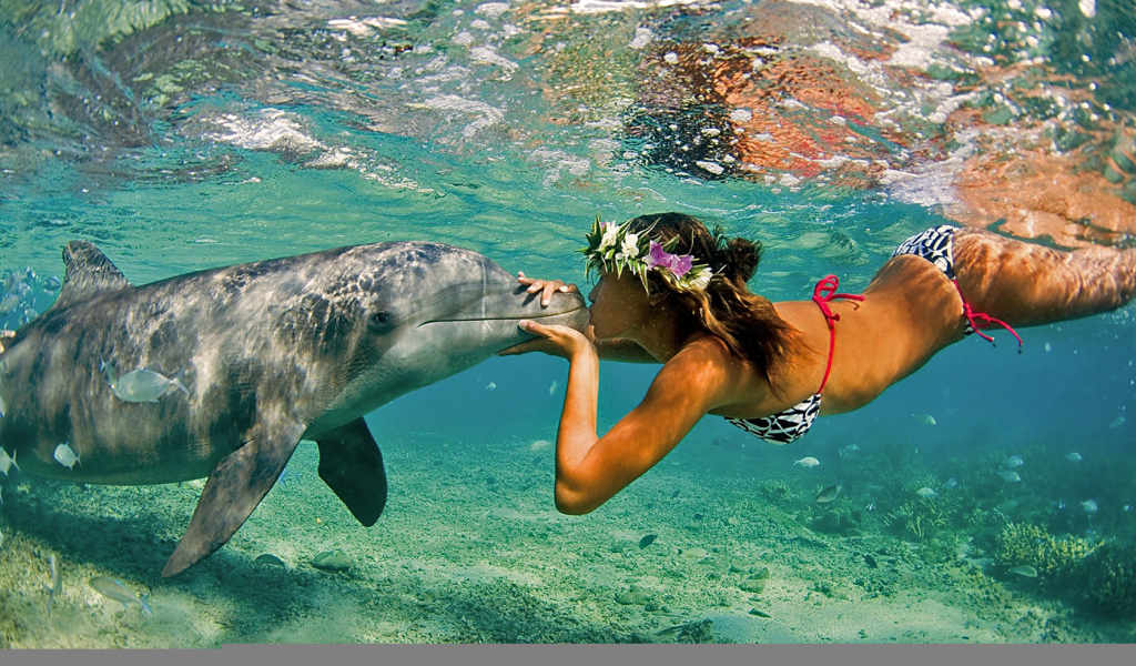 Поцелуй дельфина