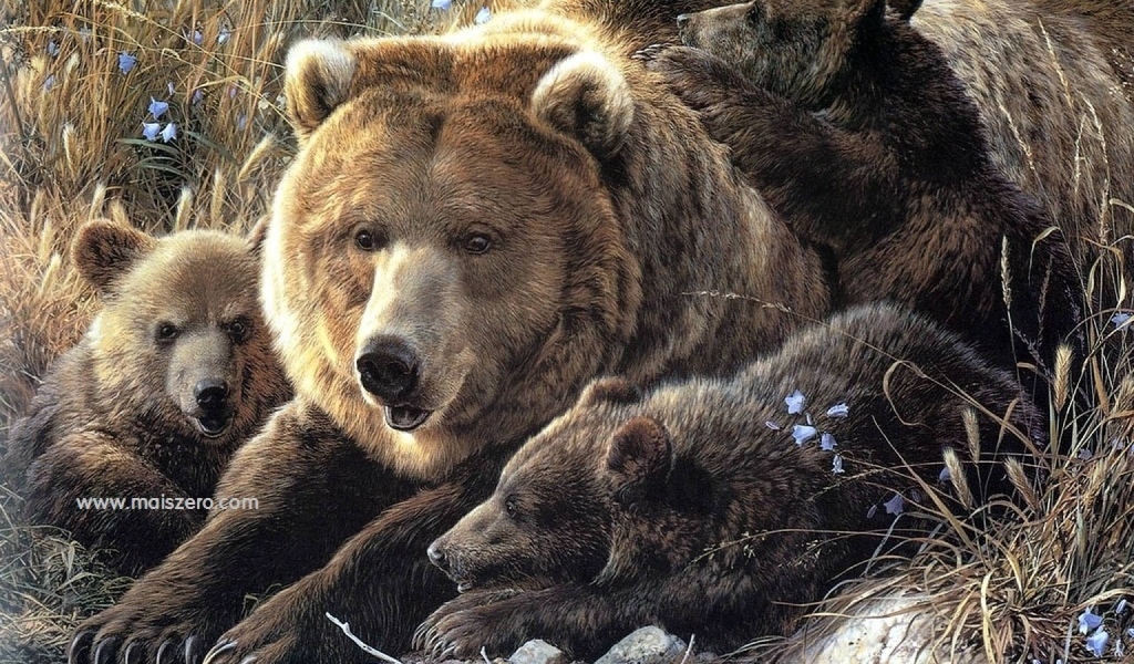 Семья медведей