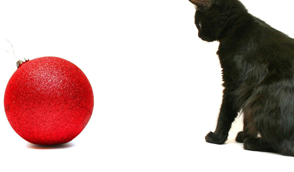 Чёрный кот и красный шар