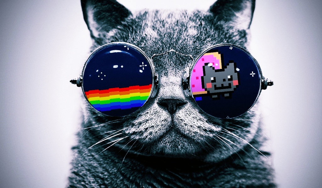 Кот в очках Hello Kitty