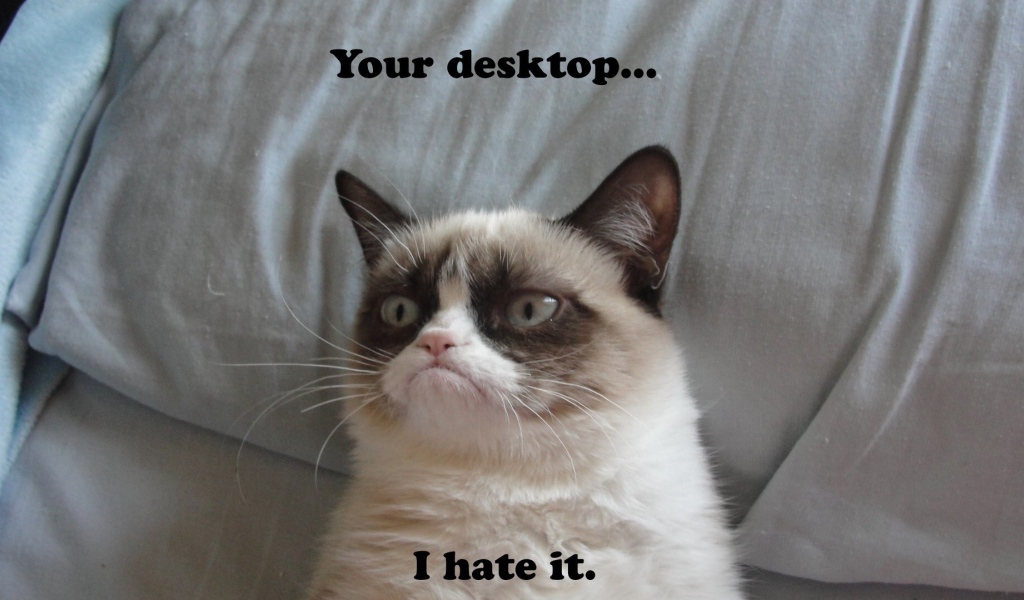 Недовольный кот на десктопе