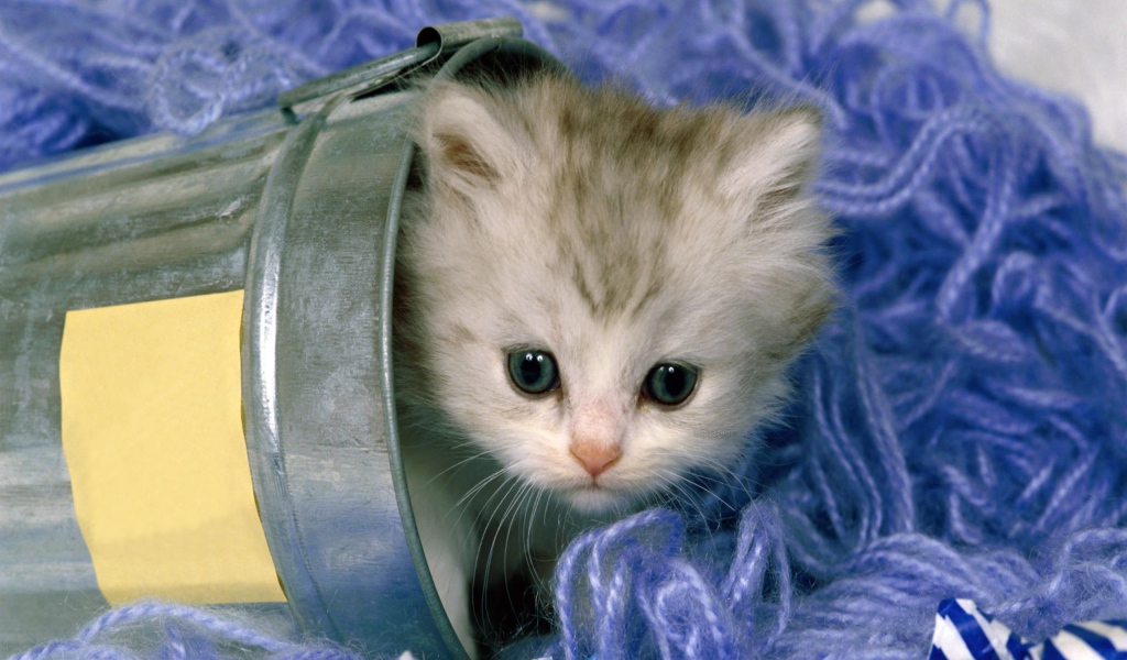 Котенок в нитках