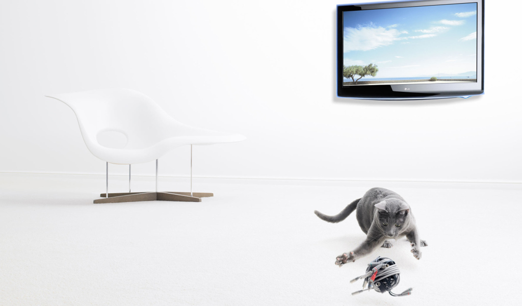 Серый кот и его игрушка