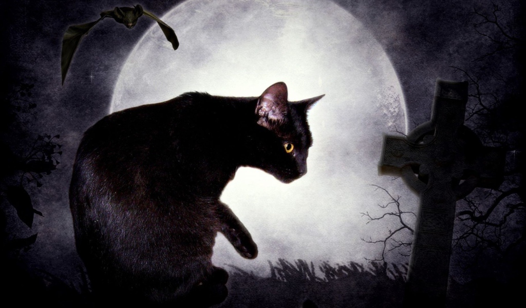 Черная кошка и луна
