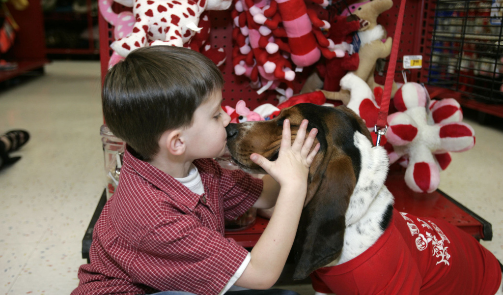 Бассет-хаунд и ребёнок