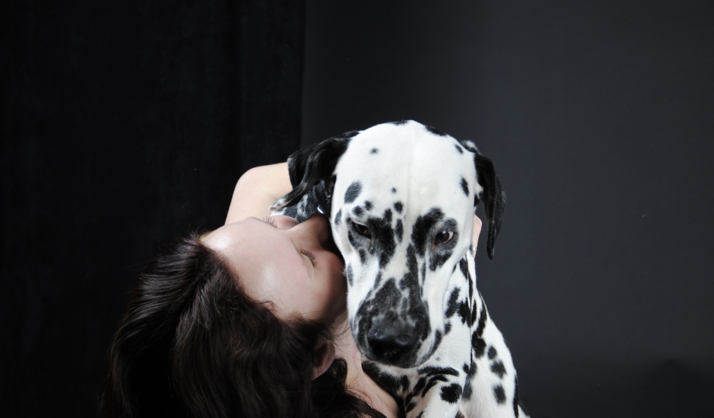 Далматин с его владельцем