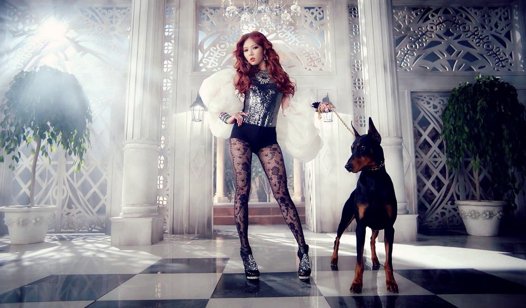 Поп-звезда и доберман