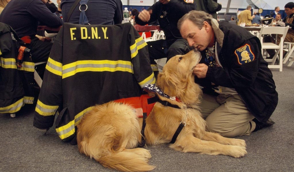 Человек благодарит собаку за помощь