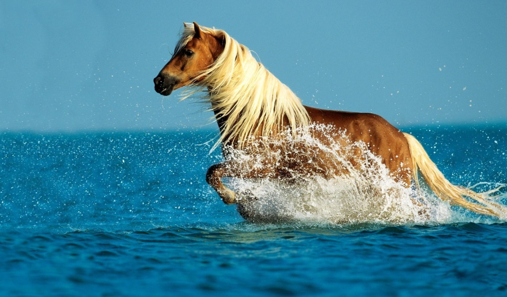 Лошадь рыжая