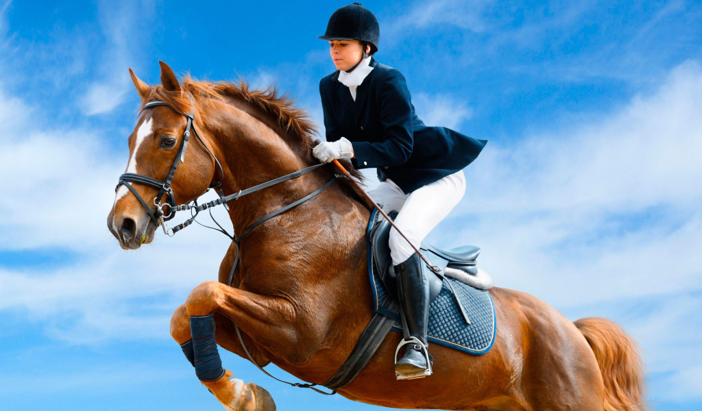 Лошадь скачущая