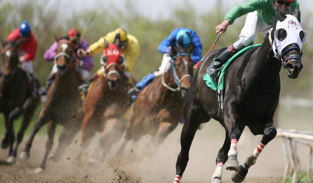 Гонки на лошадях