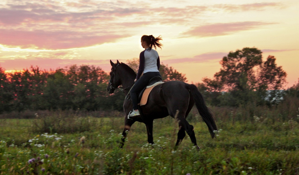Прогулка на лошадях, закат
