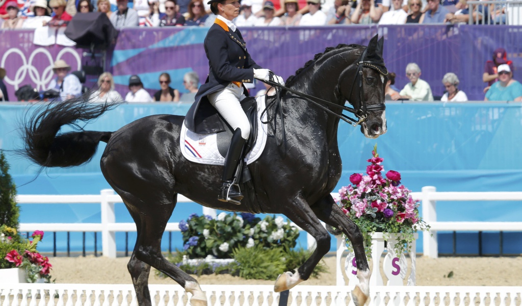 Всадник на лошади