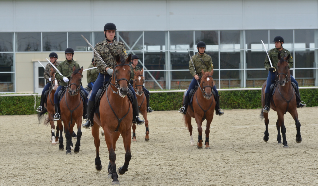 Верховая езда на лошади
