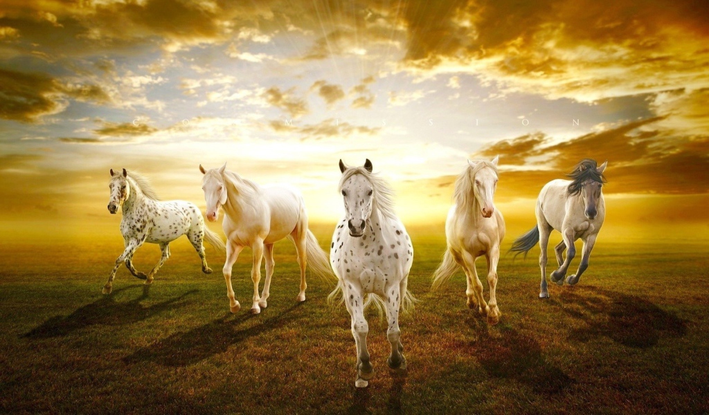 Закат с лошадями