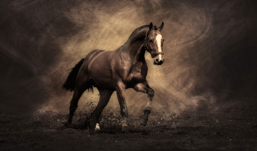 Самые знаменитые лошади