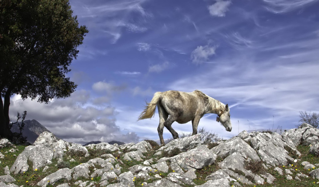 Серебряная лошадь