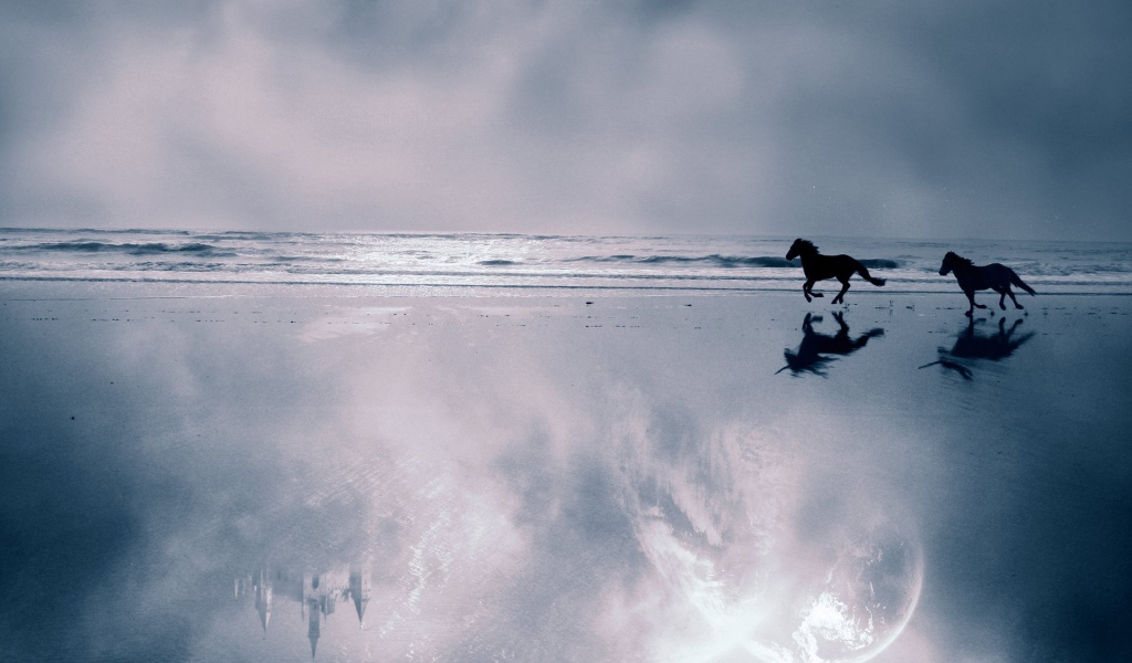 Мир лошадей