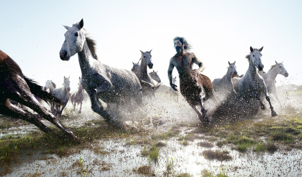 Кентавр скачет с табуном лошадей