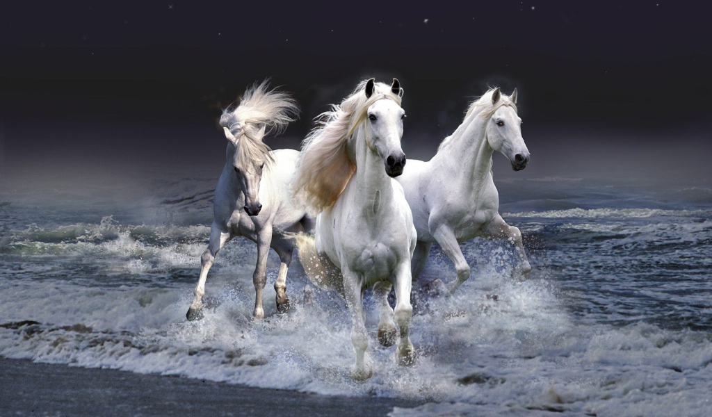 Тройка белых лошадей