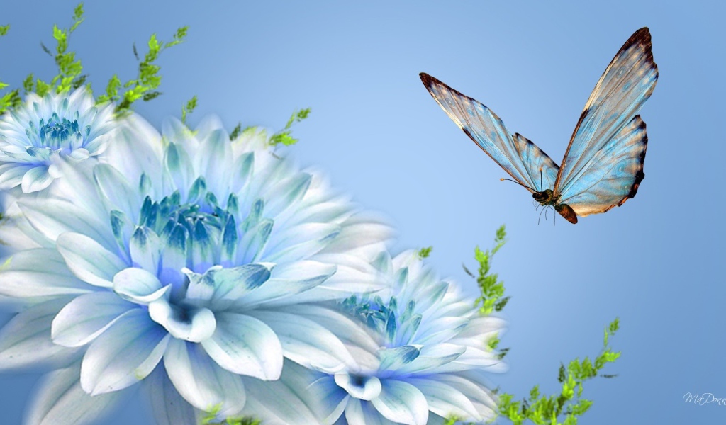 Бабочка над голубым цветком