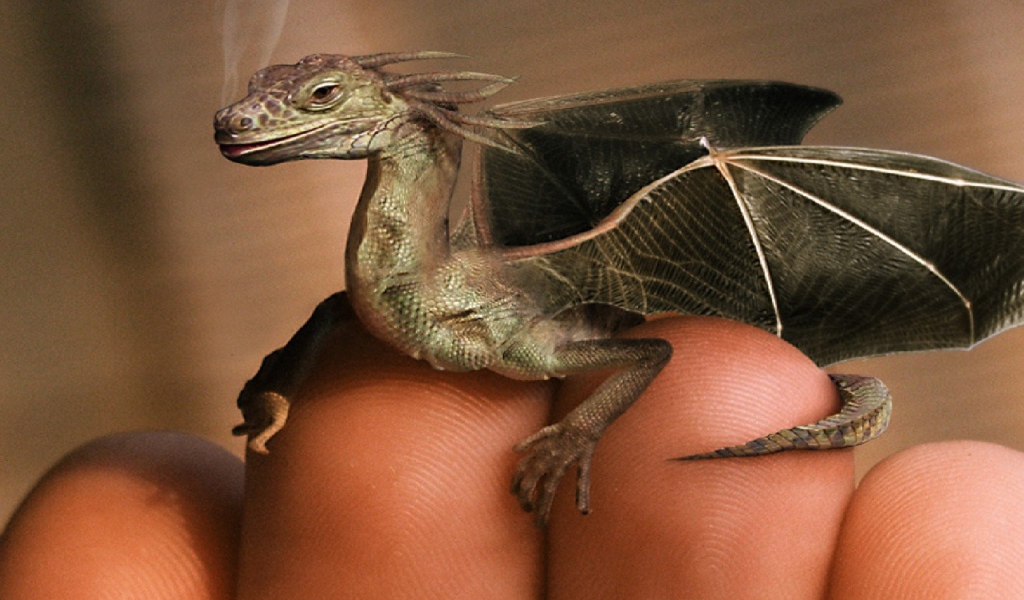 Дракон на пальцах