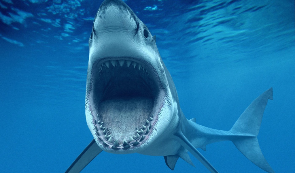Зубастая Пасть акулы