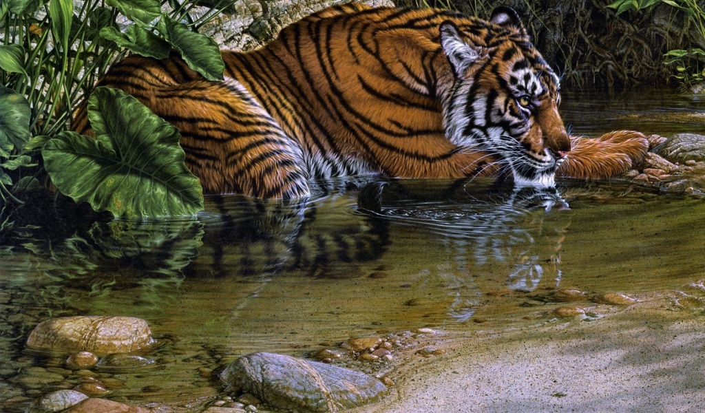 Тигр лежит у воды