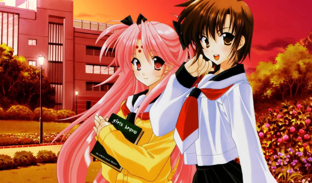 Браво девушки