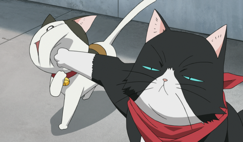 Кошачьи прихоти